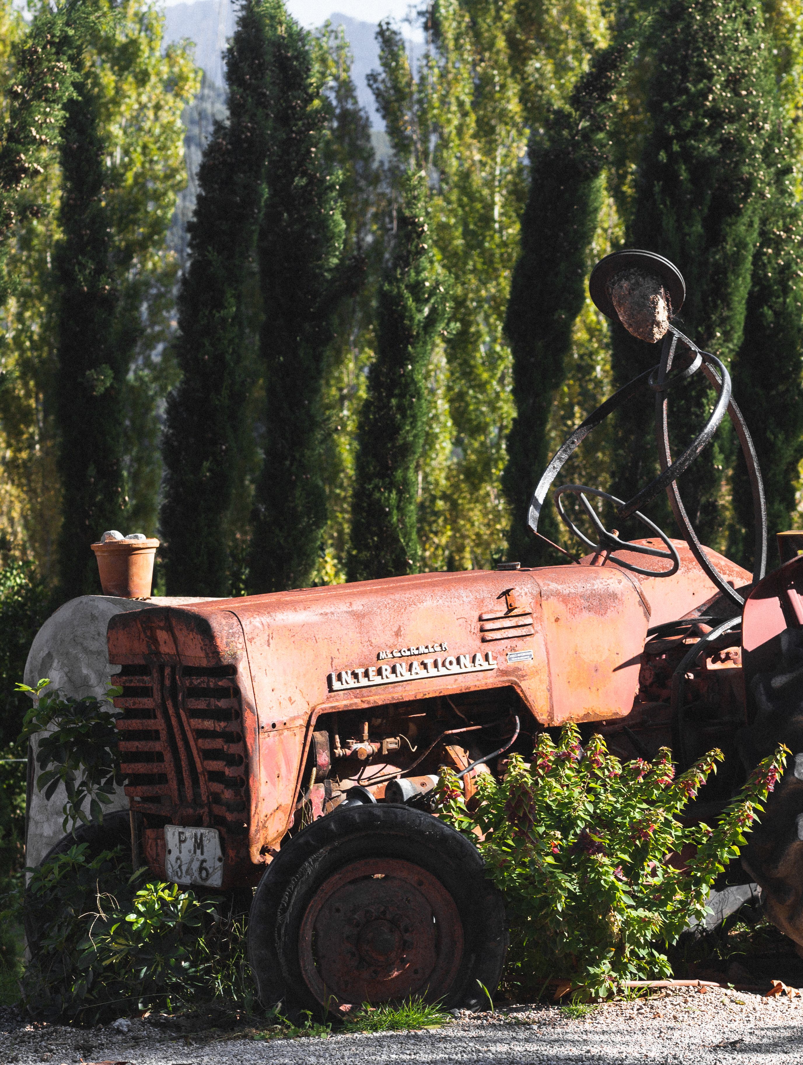 Foto - Hotel Finca Ca N'ai - Adults Only