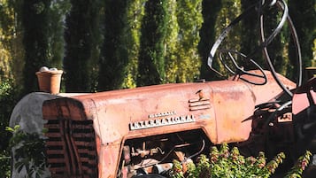 An old, rusted tractor with a license plate, surrounded by greenery and trees.