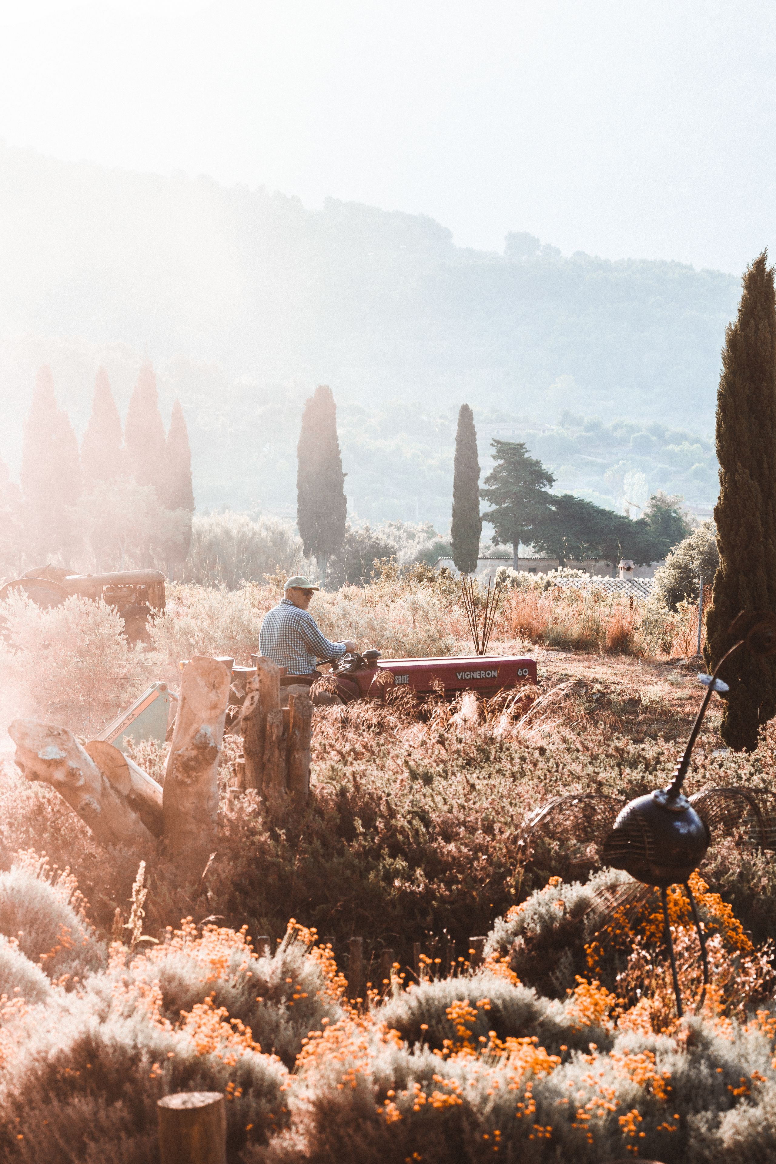 Foto - Hotel Finca Ca N'ai - Adults Only