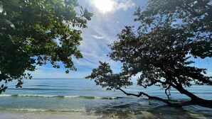 A beach with clear water, a tree in the foreground, and a view of the ocean. - Koh Chang Thai Garden Hill Resort (Ko Chang)