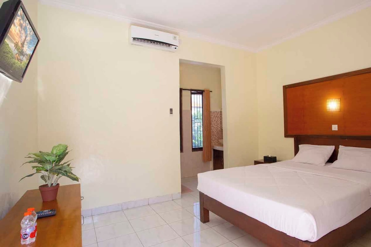 Un dormitorio con cama, televisión, planta en maceta y aire acondicionado.