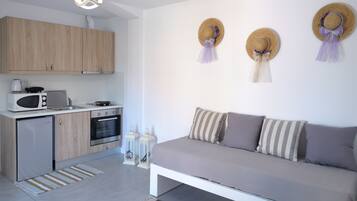 Apartment, 1 Schlafzimmer | Wohnbereich | 24-Zoll-Flachbildfernseher mit Satellitenempfang, Fernseher, DVD-Player