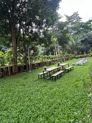 Un espacio al aire libre con césped, bancos y mesas de madera, rodeado de árboles y plantas.