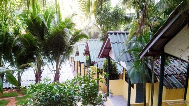 A row of small, single-story buildings with corrugated metal roofs, surrounded by lush greenery and palm trees. - Island Lodge (Ko Chang)