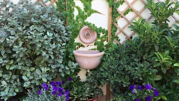 Jardin