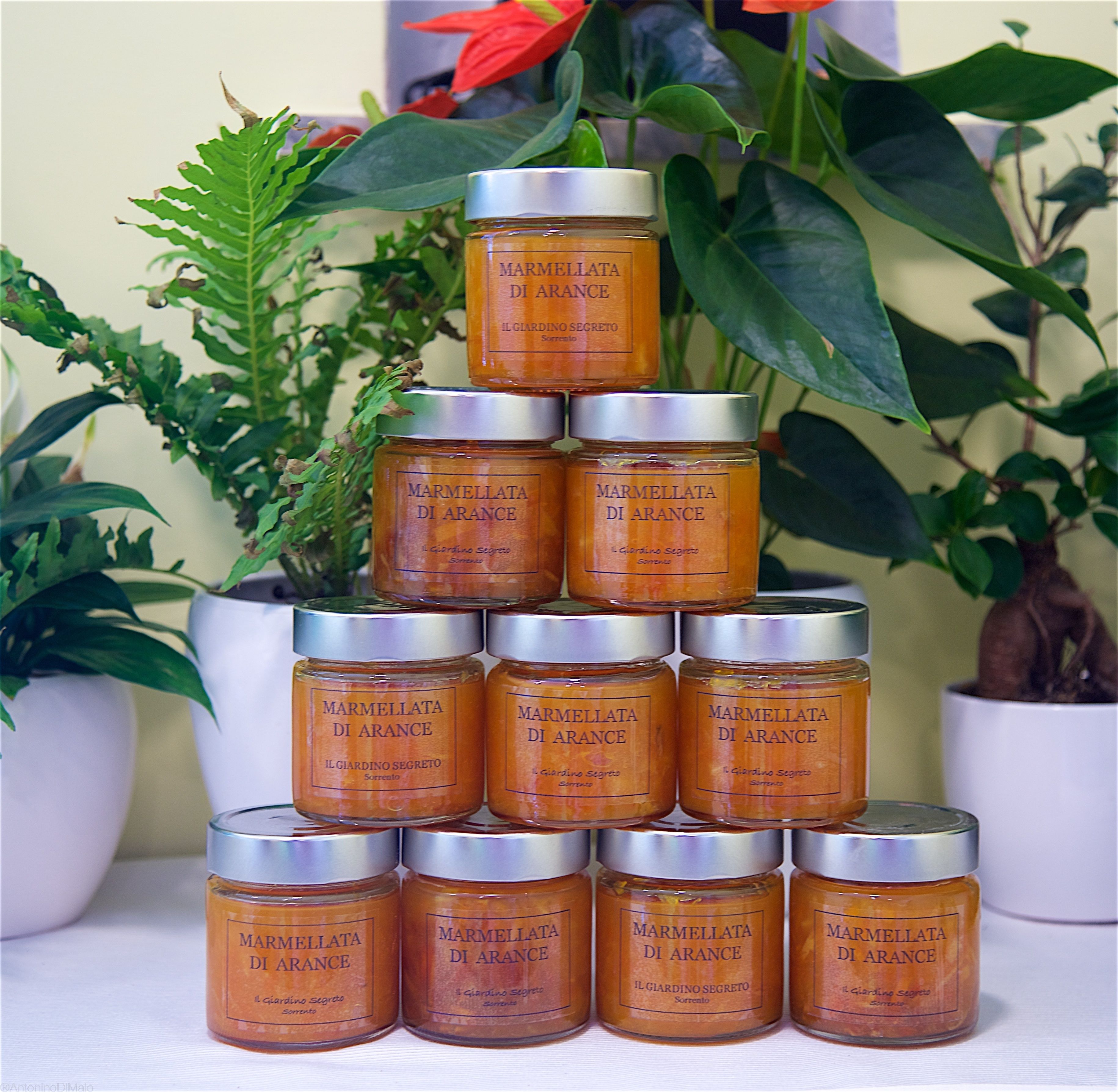 Foto - Il Giardino Segreto