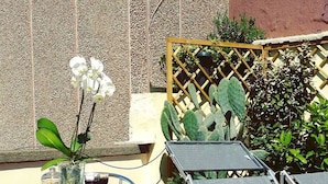Eine Terrasse mit einem Glastisch, Metallstühlen, einer Liege aus Metall und einer Kakteenpflanze.