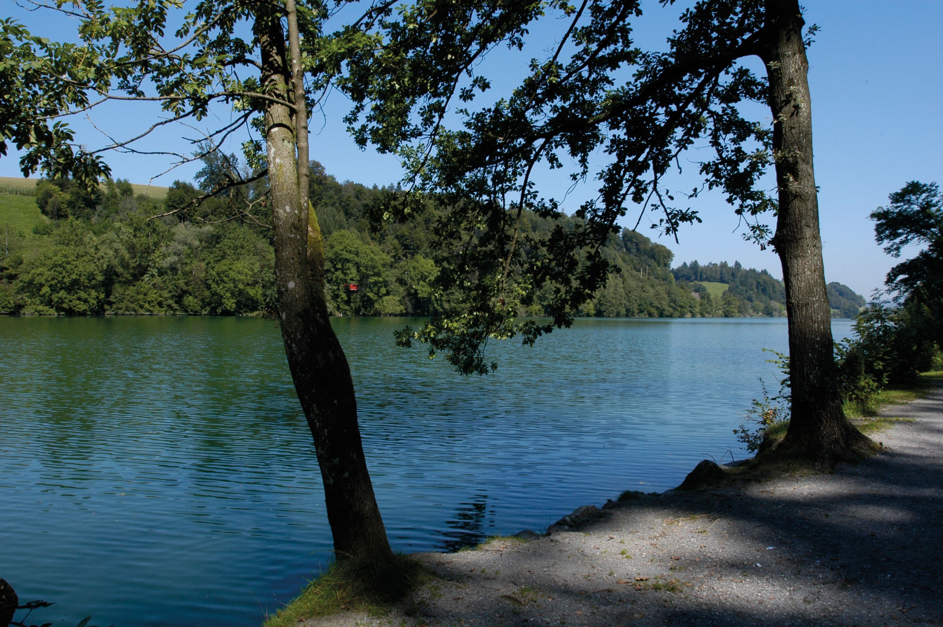 Photo - Luzern Youth Hostel
