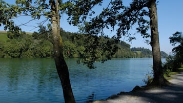 Un paysage paisible au bord d’un lac, avec des arbres et une vue dégagée sur l’eau.