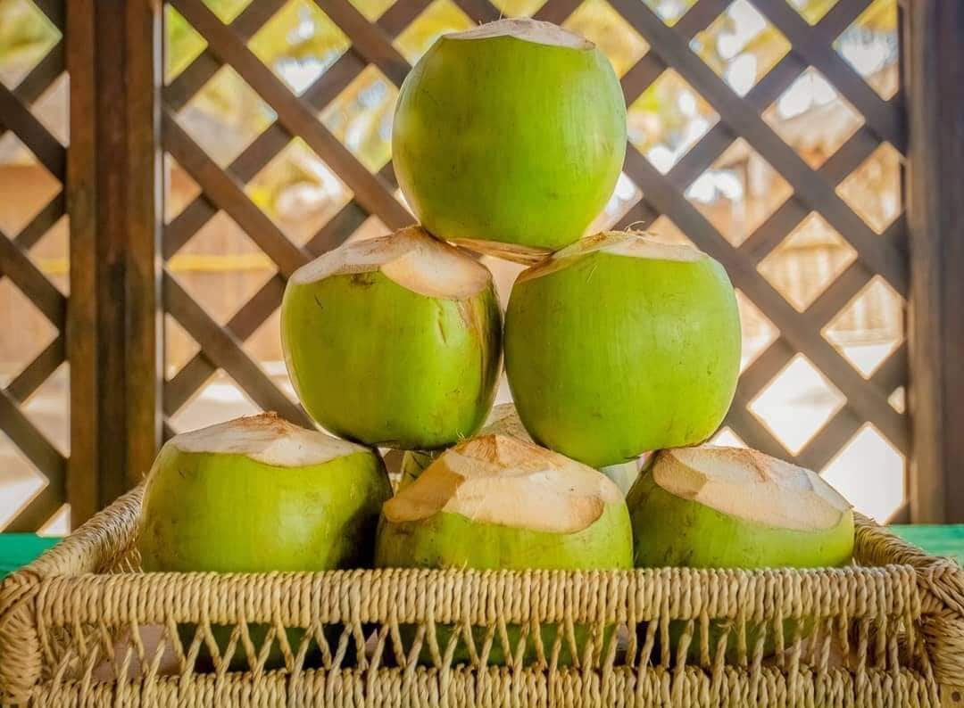 Un montón de cocos verdes en una cesta tejida.