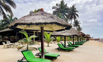 A beachside resort with thatched umbrellas, green lounge chairs, and palm trees.