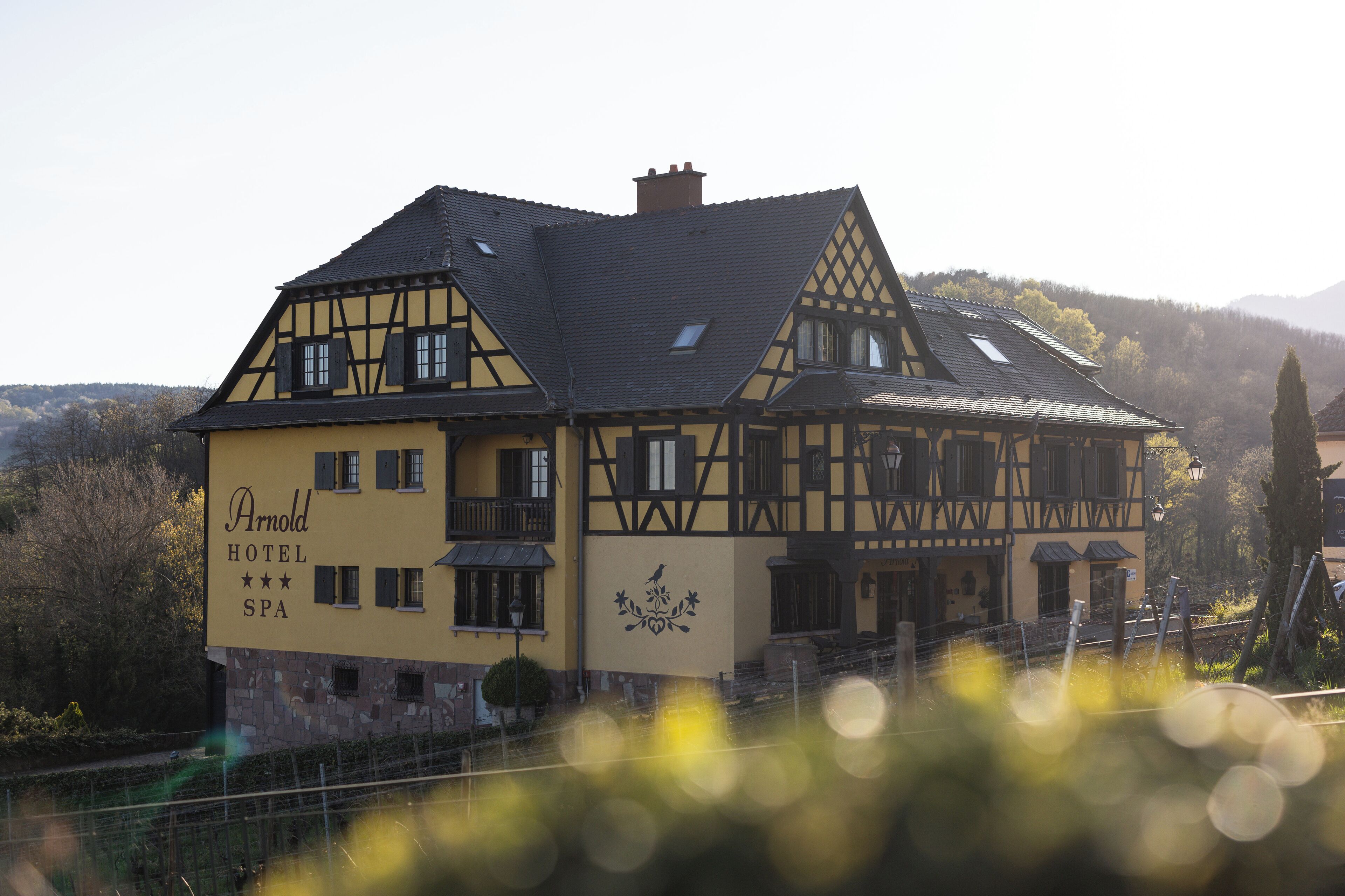 A traditional half-timbered hotel with a sign indicating it is the Arnold Hotel and Spa.