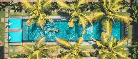 Outdoor pool, sun loungers