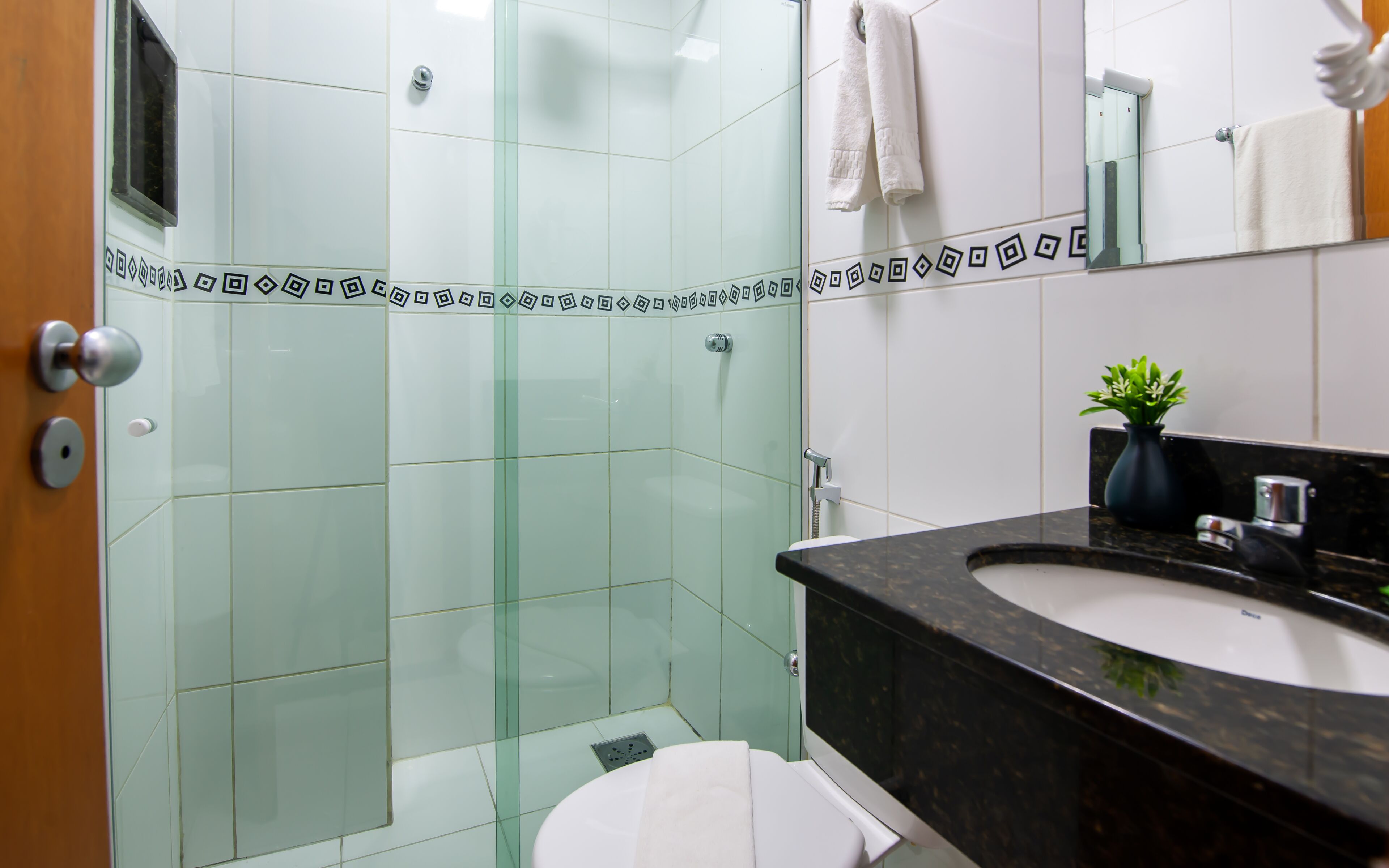 Une salle de bain avec une douche à parois de verre, des toilettes blanches, un lavabo noir avec un plan de toilette en marbre et une petite plante en pot.