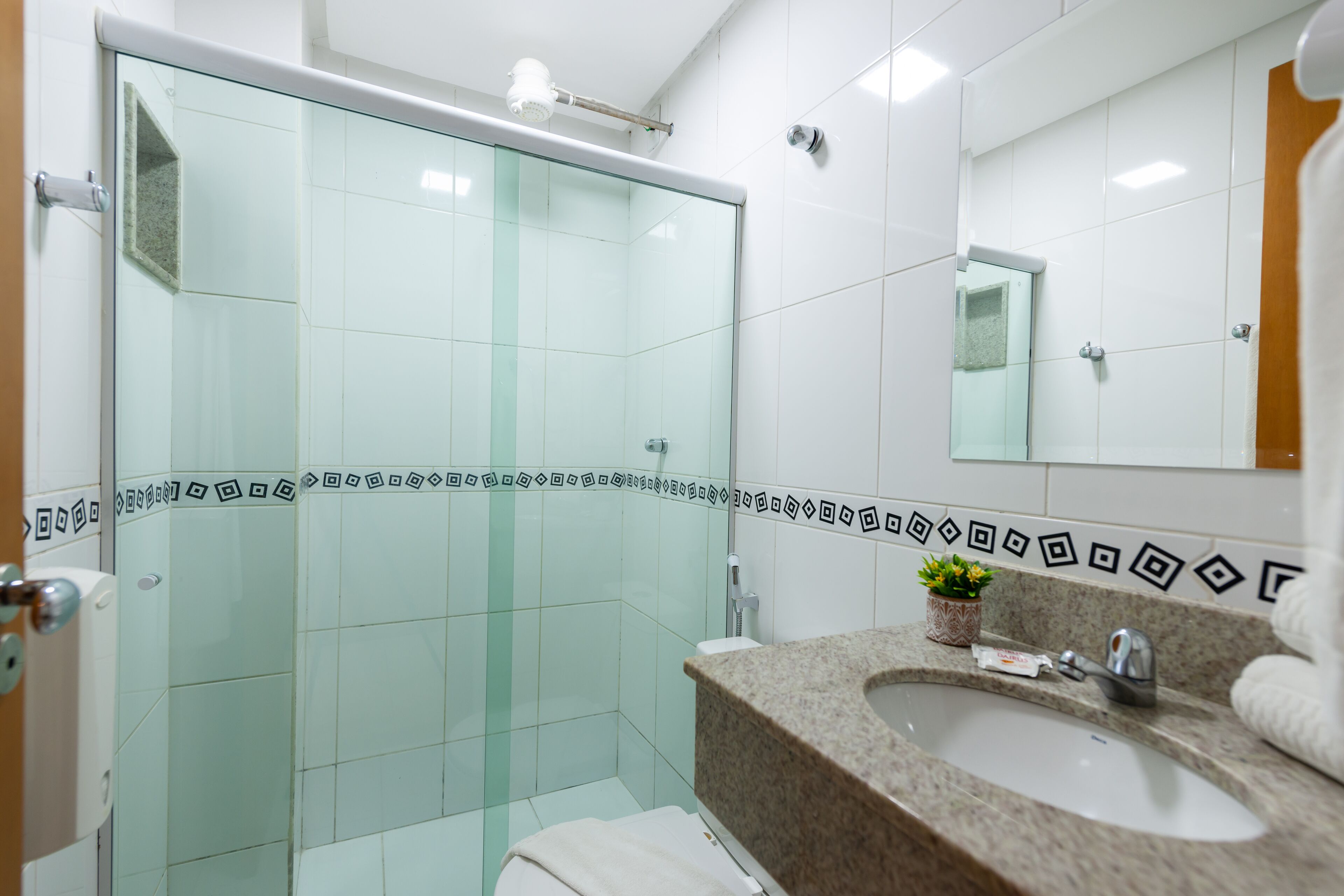 A modern bathroom with a glass shower enclosure, a granite sink, and a small potted plant.