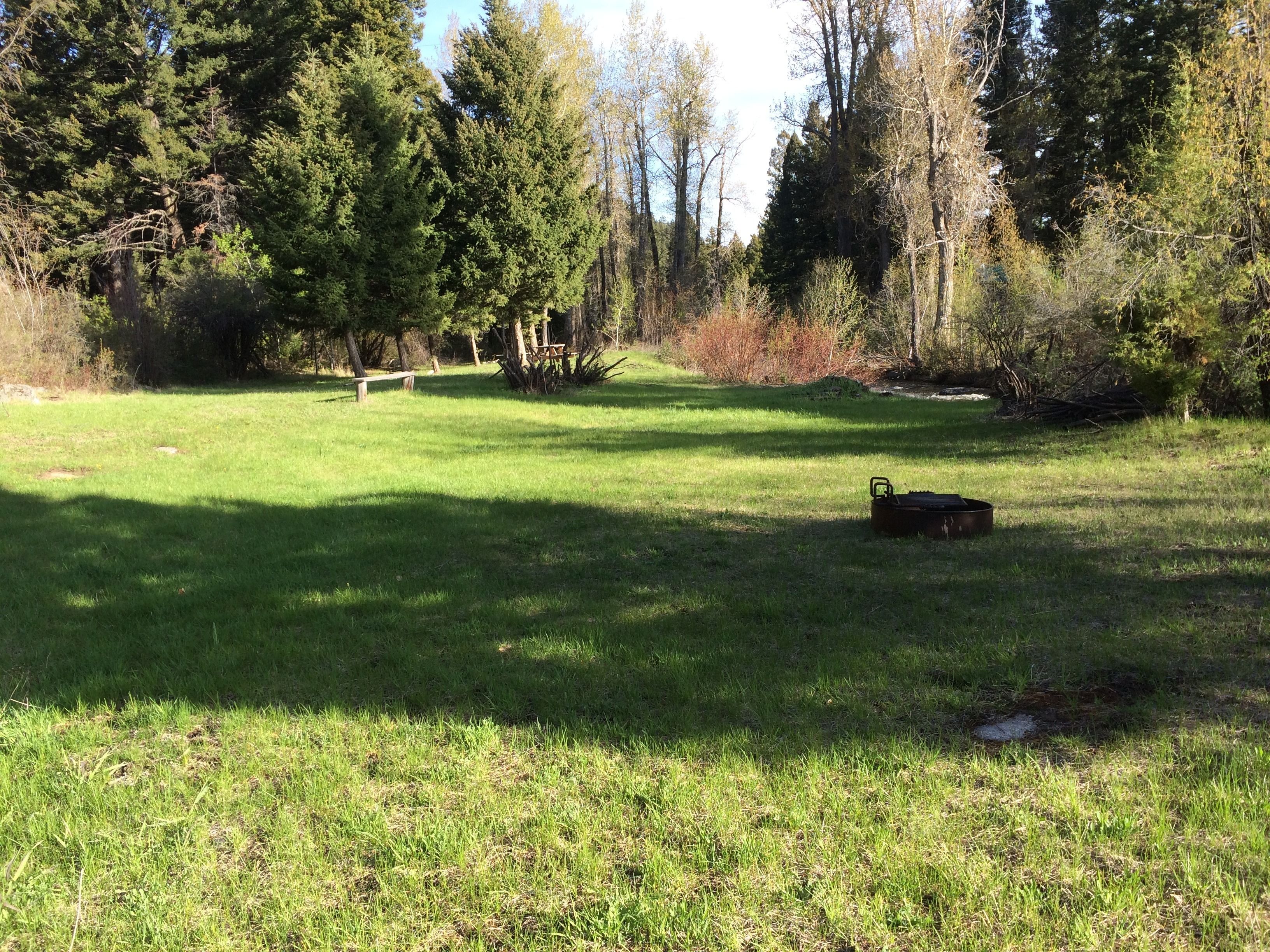 A grassy field with trees and a bench.