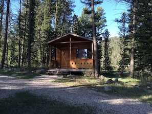 Eine Holzhütte mit Veranda, umgeben von hohen Kiefern.