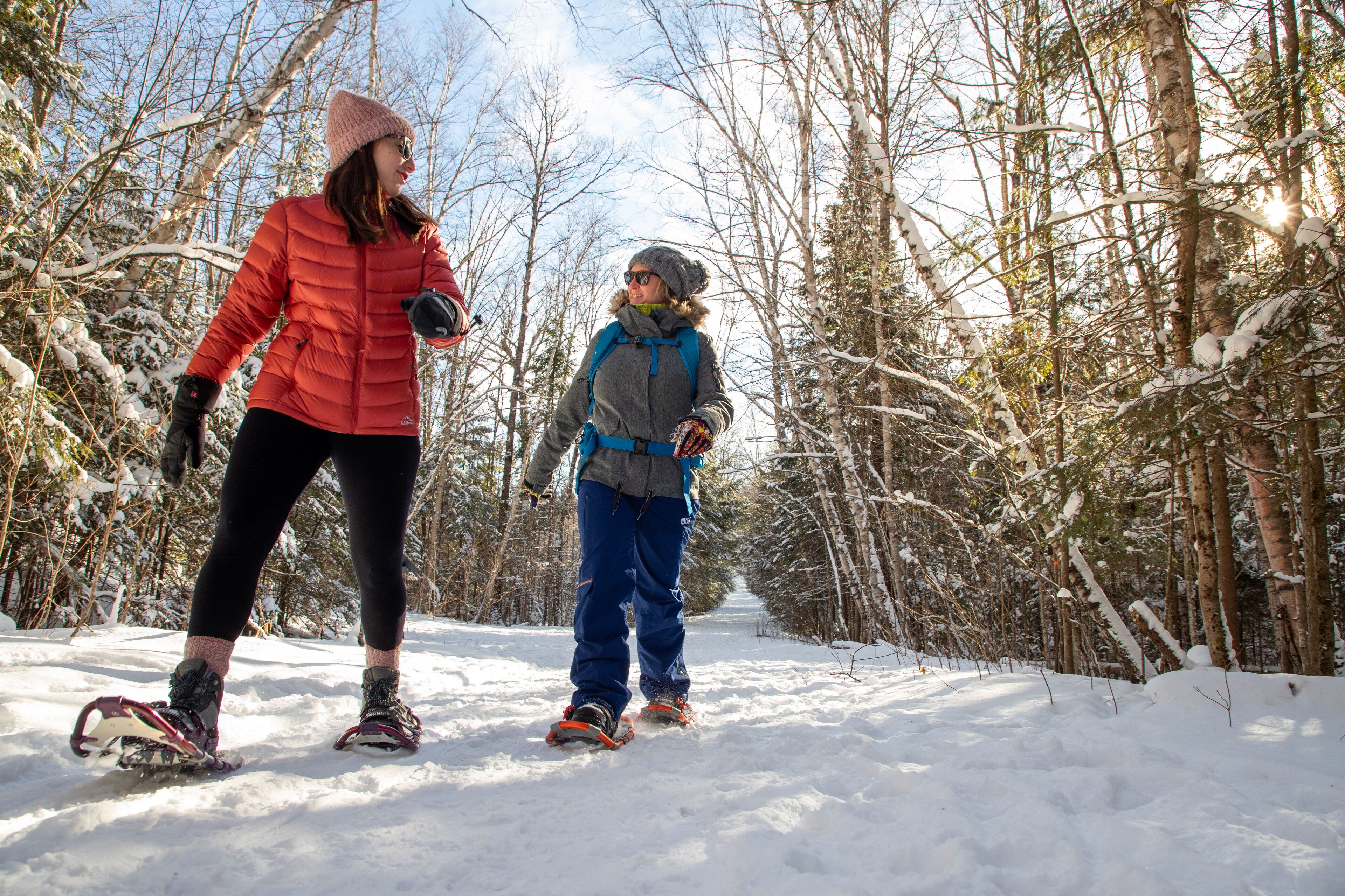 Two people walking on a snow-covered path in a forest.