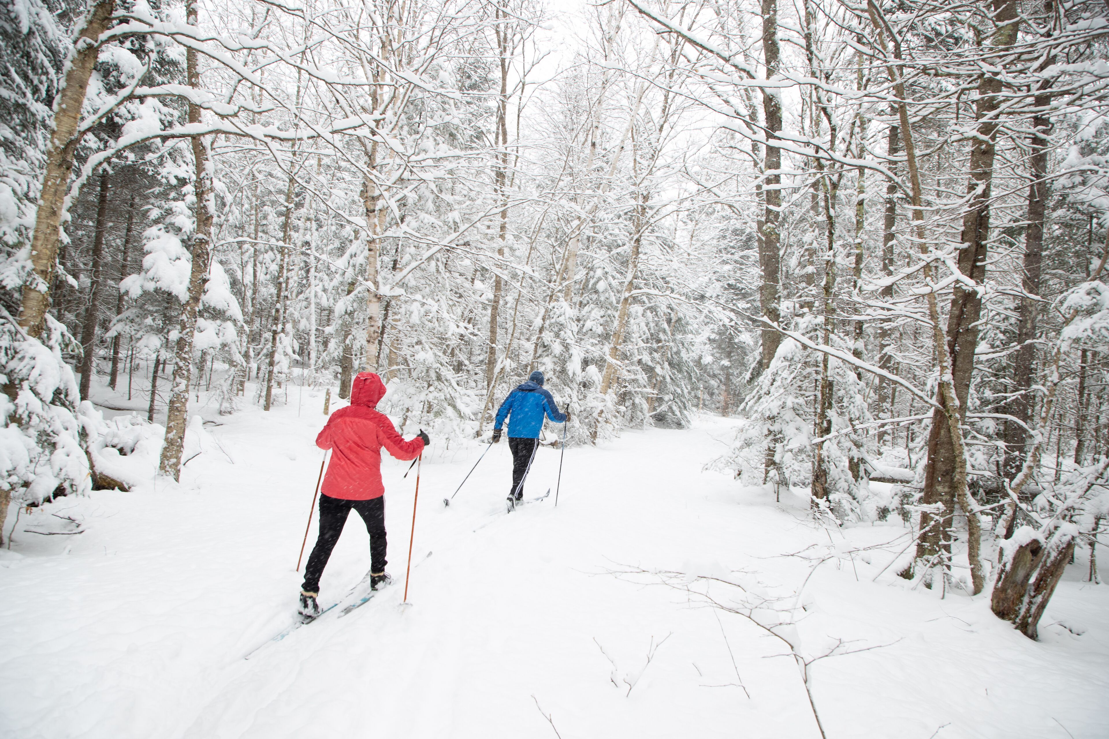 Twee personen skiën langsbinnendoor in een besneeuwd bos.