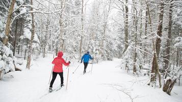 Twee personen skiën langsbinnendoor in een besneeuwd bos.