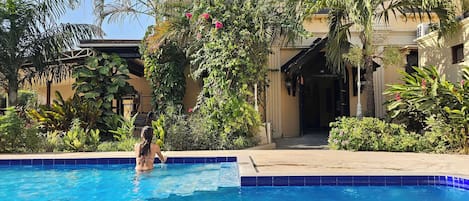 Outdoor pool, sun loungers