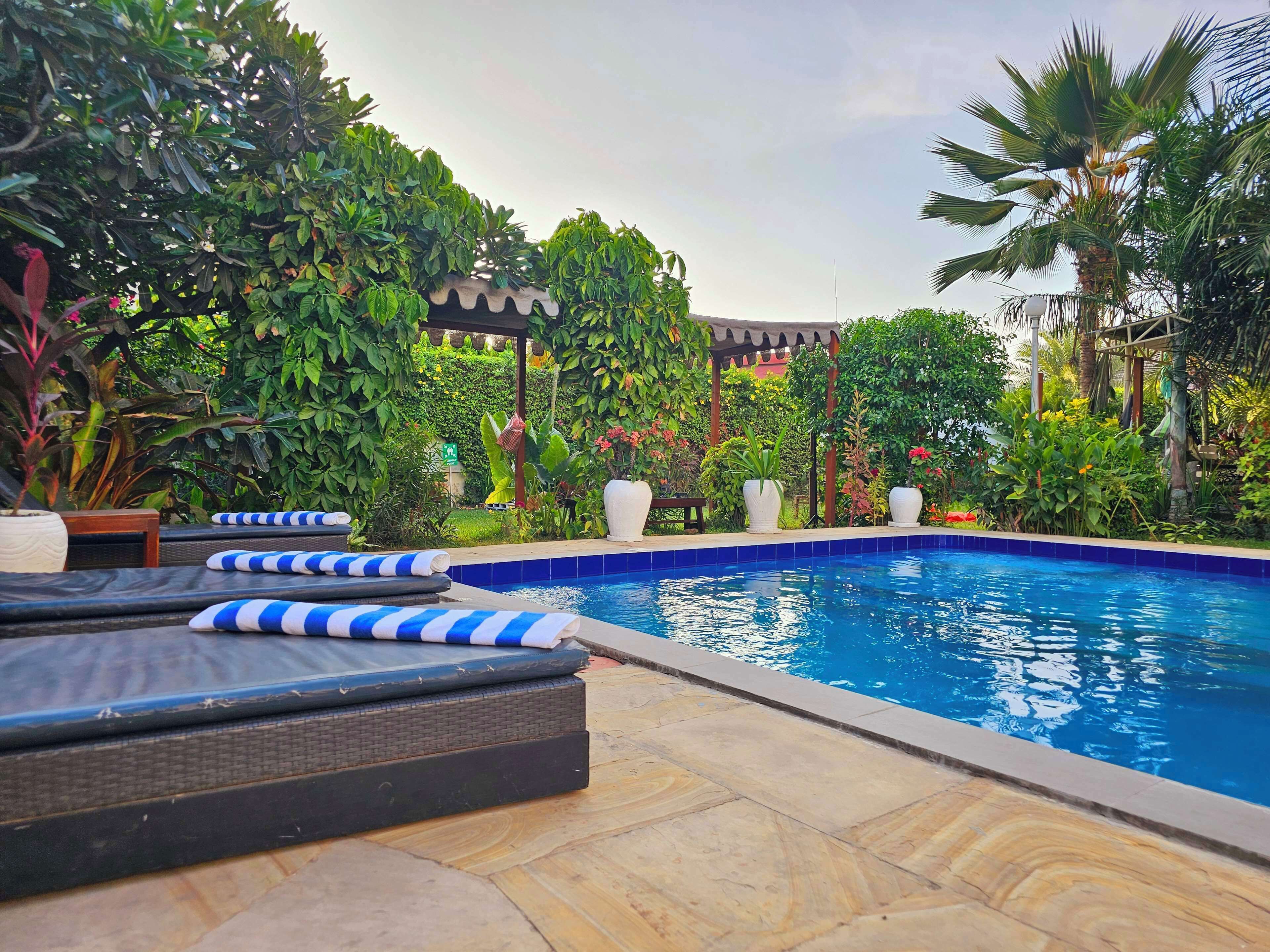 Outdoor pool, sun loungers