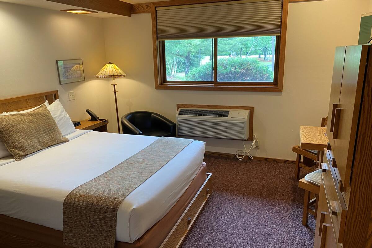 A hotel room with a bed, a desk, a chair, a lamp, a window with a view of greenery, and a radiator.