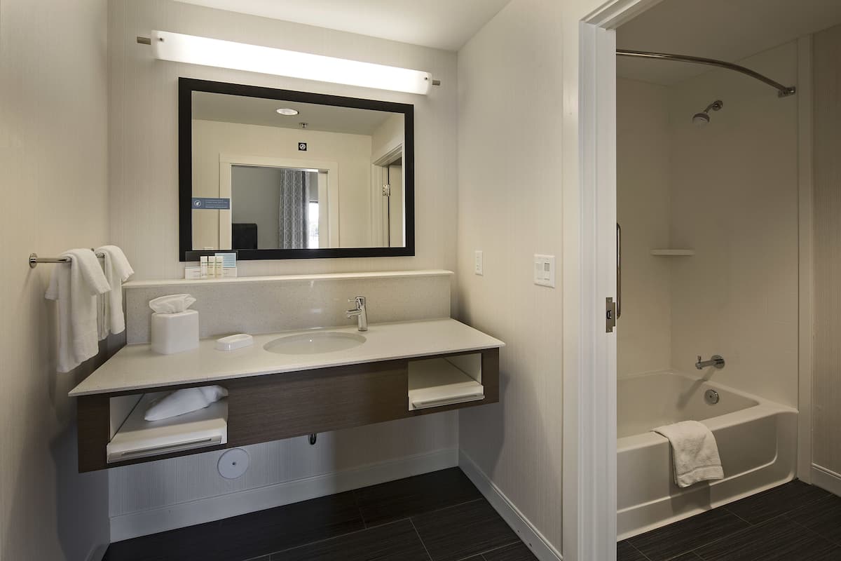 combined shower/bathtub, free toiletries, hair dryer, towels