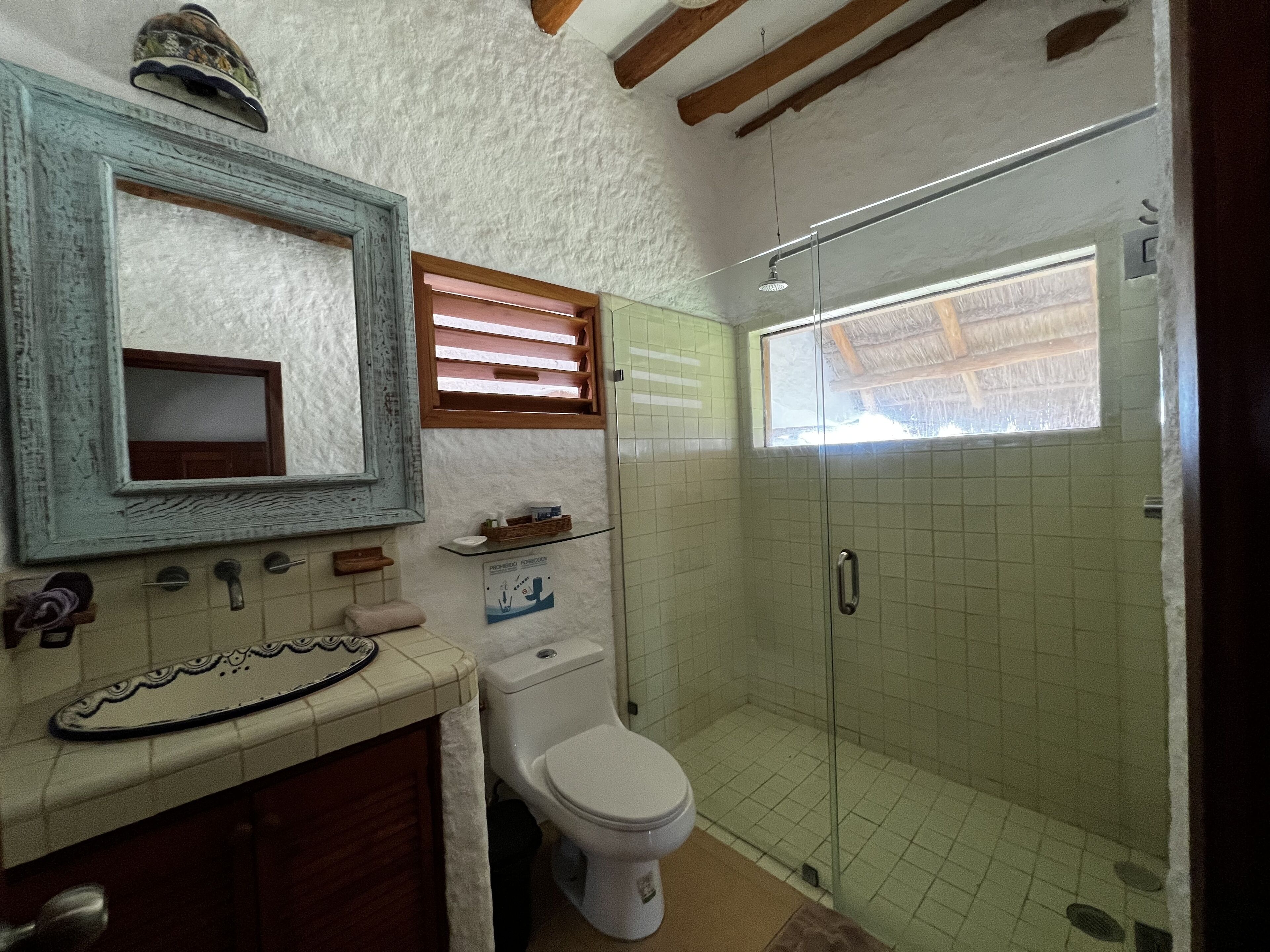 A bathroom with a white toilet, a sink with a decorative plate, a mirror with a wooden frame, and a shower area with a glass door.