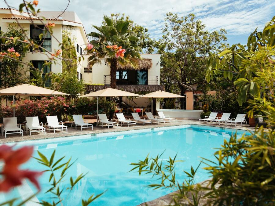 Outdoor pool, pool umbrellas, sun loungers