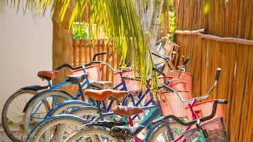 Ciclismo