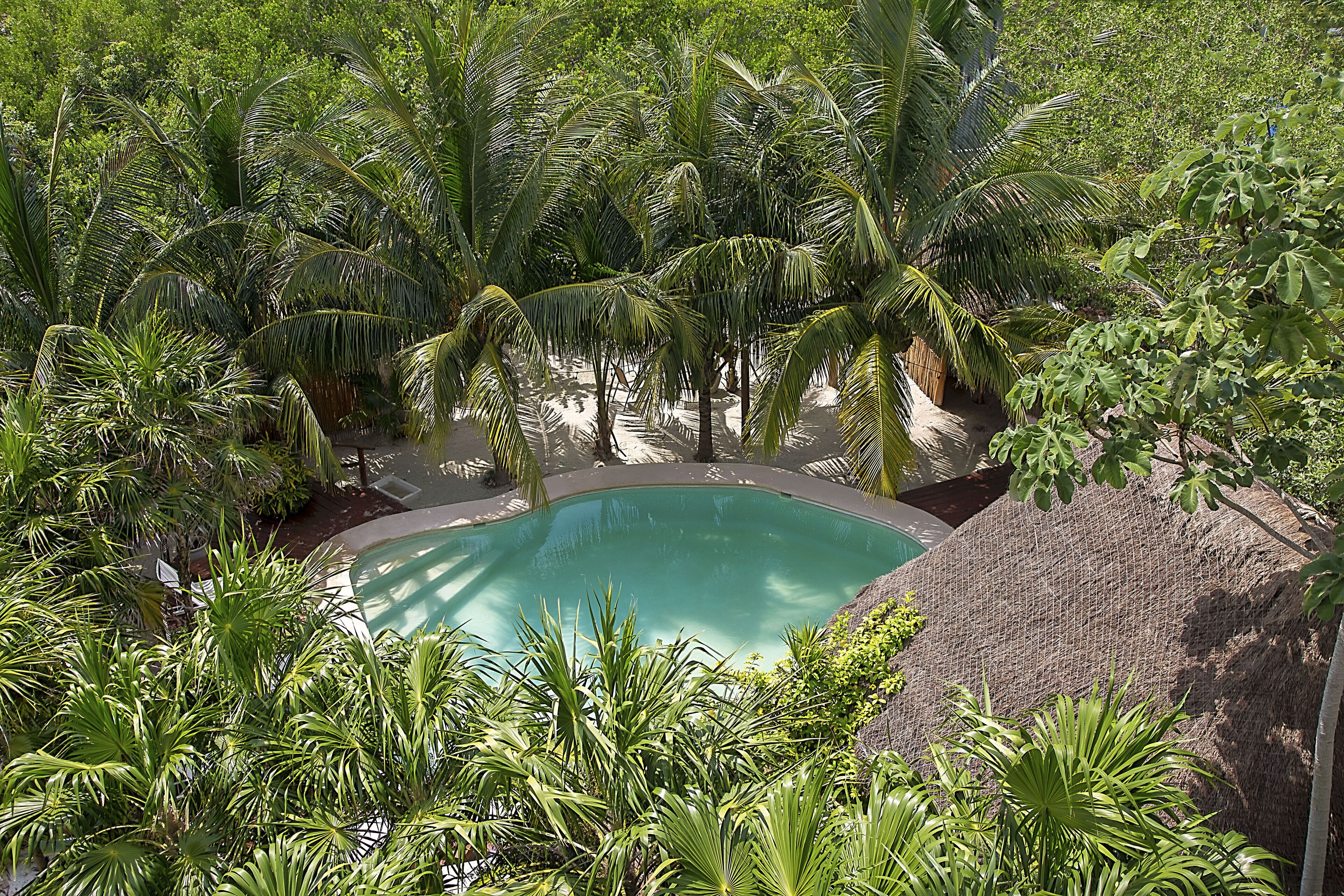 Foto - Holbox Deluxe Apartments