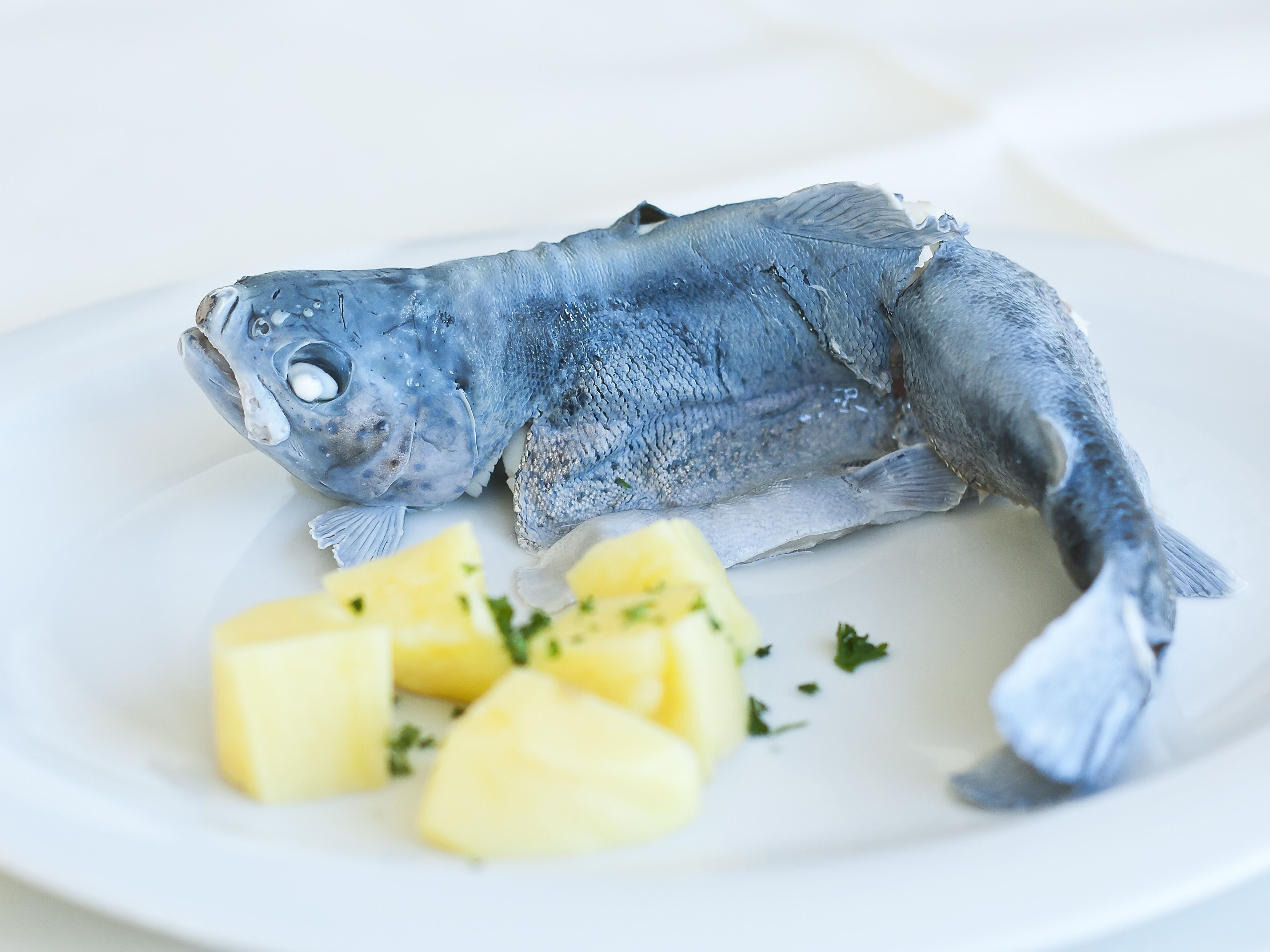 Ein Teller mit einem ganzen Fisch und gewürfelten Kartoffeln.