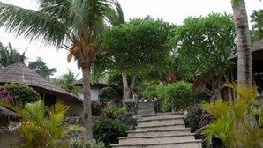 A set of stone steps leading up to a thatched-roof structure surrounded by tropical vegetation. - Coconut Beach Resort (BALI)