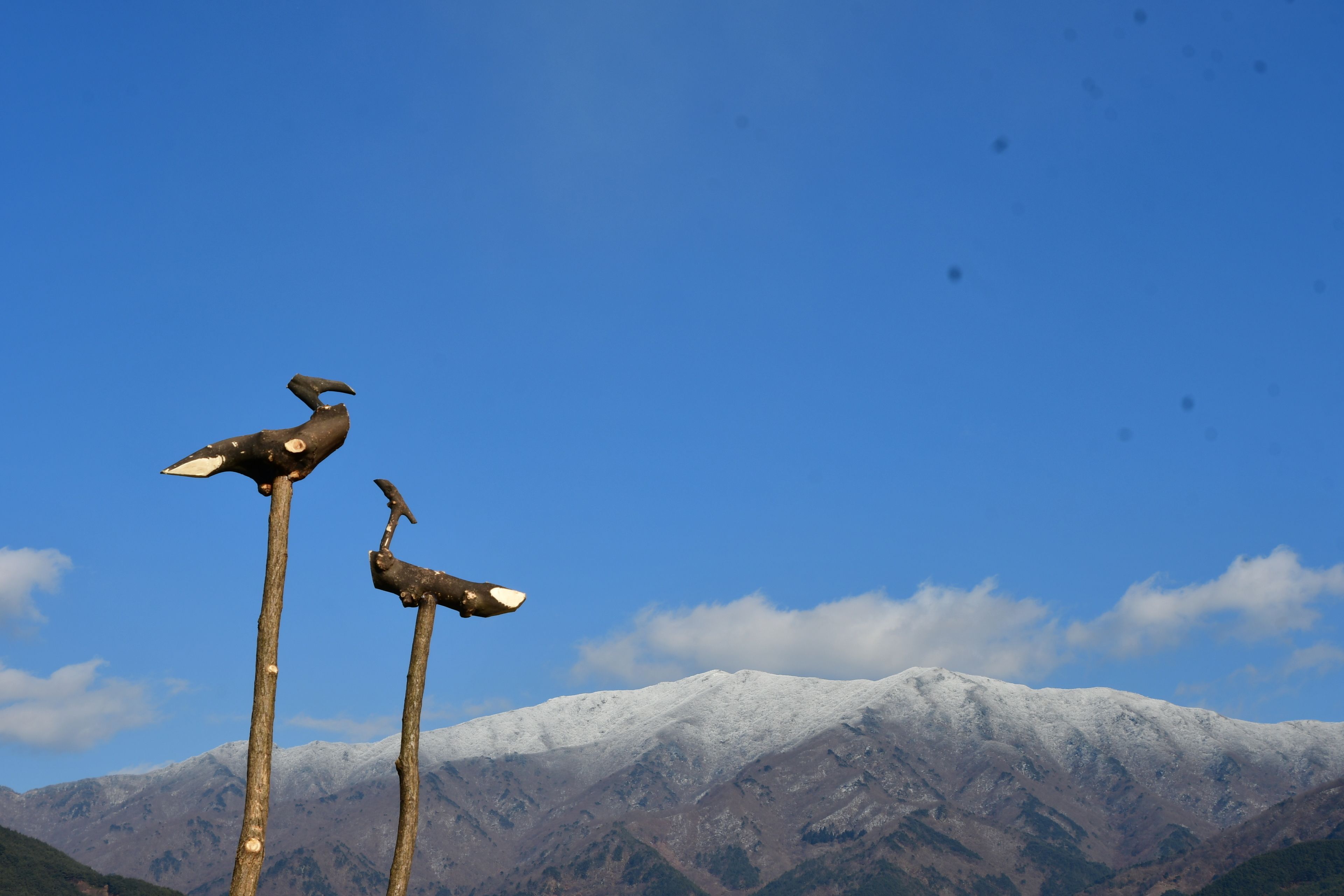 Twee houten palen met vogelbeeldjes, een besneeuwd berglandschap en een helderblauwe lucht.