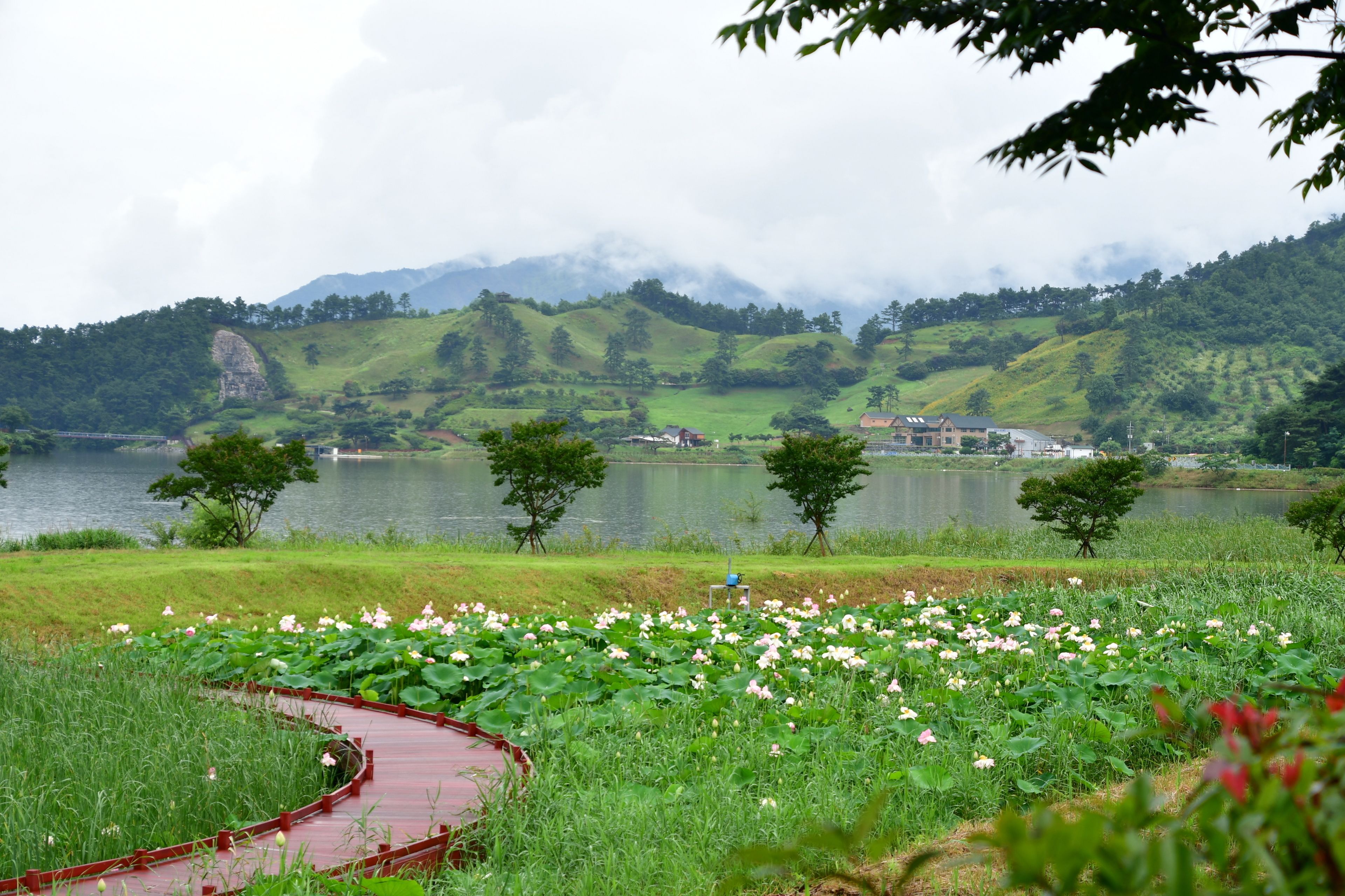 Un paysage paisible avec un lac, des collines verdoyantes et un chemin rouge menant à un bâtiment.