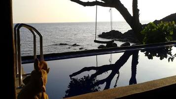 Alberca al aire libre, sombrillas en la alberca y camastros