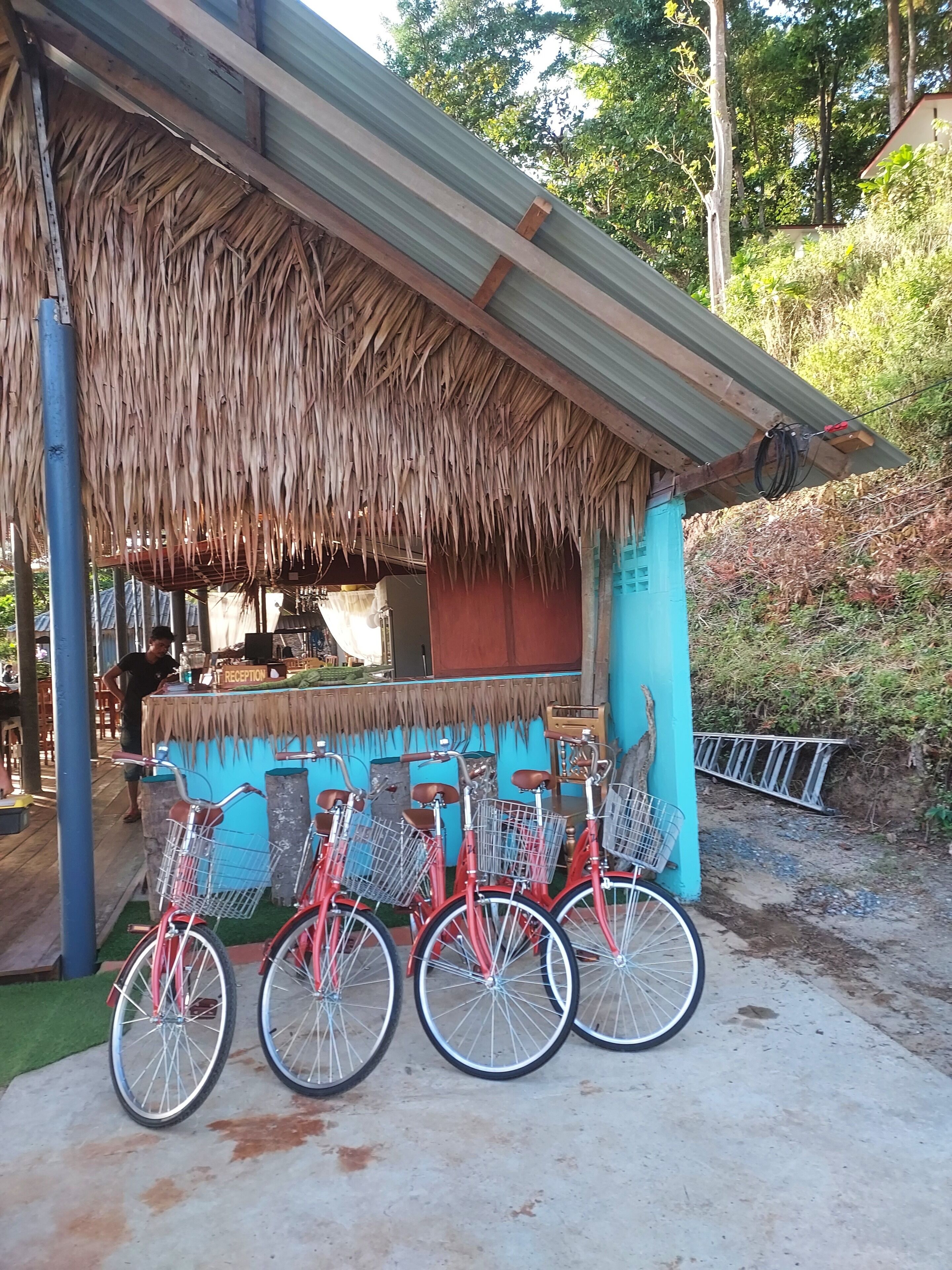 Une construction à toit de chaume, avec un comptoir d’accueil et plusieurs vélos garés devant.
