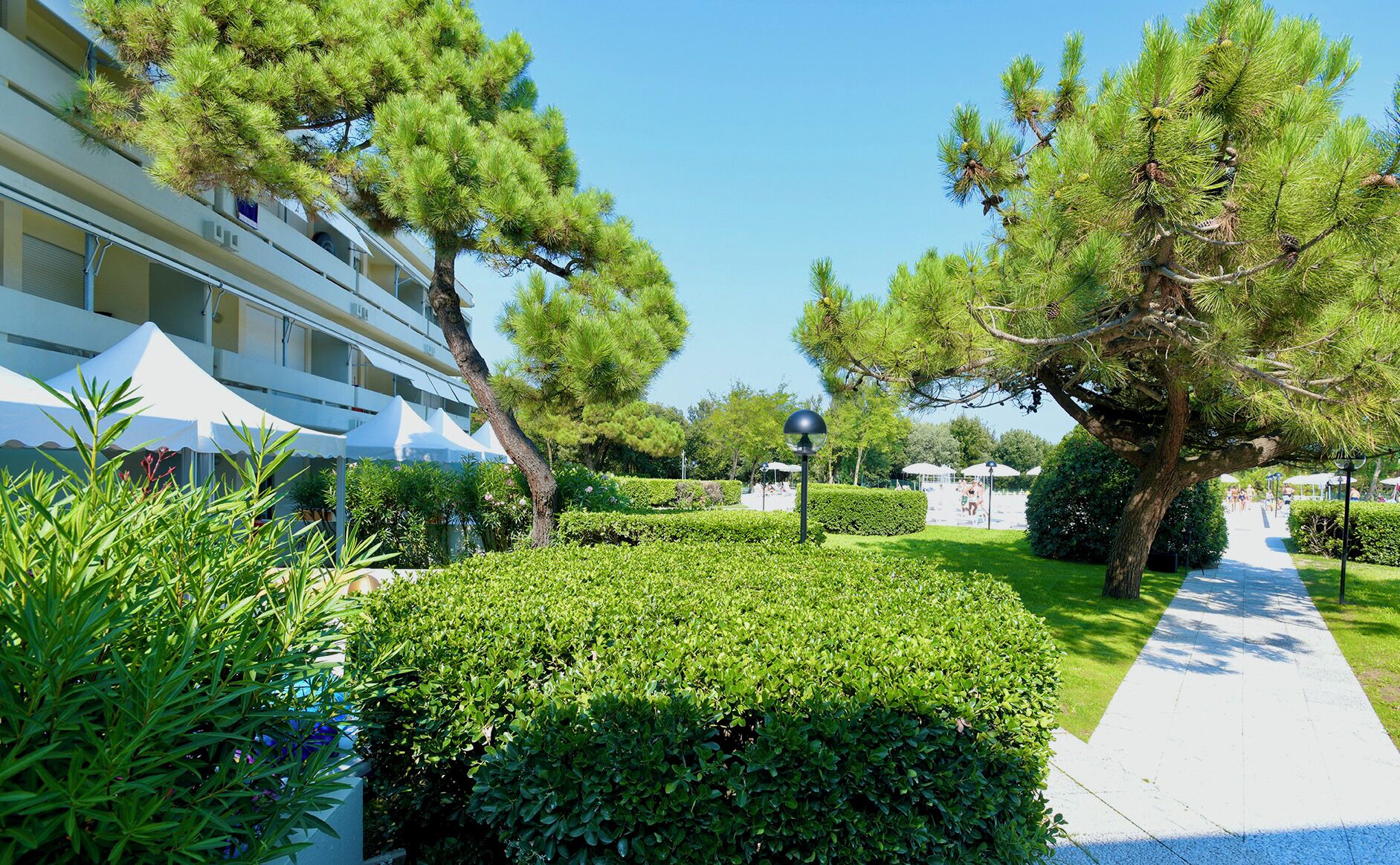A well-maintained garden with neatly trimmed hedges and tall pine trees.