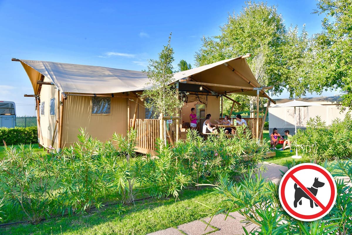 A tented accommodation with a covered outdoor seating area and a no dog sign.