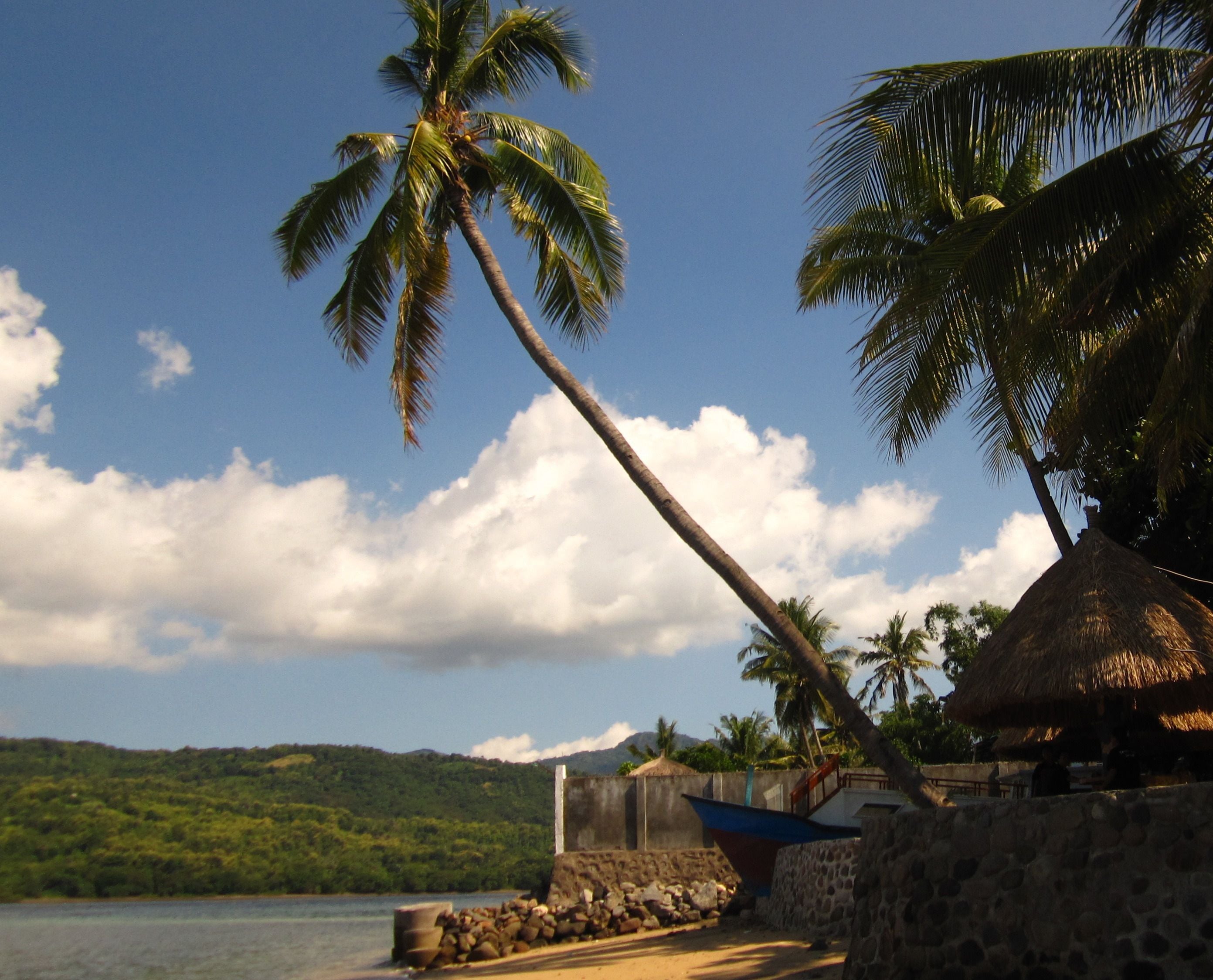 Vue depuis l’hébergement