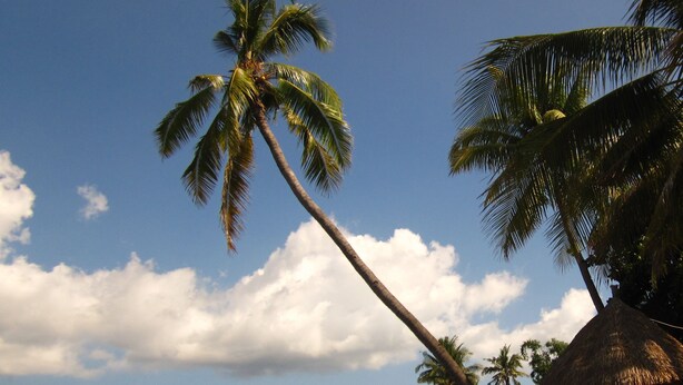 View from property - Larantuka Beach Apartments (Larantuka)