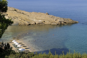 Plage à proximité, chaises longues, parasols, bar de plage