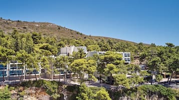 Vista da propriedade
