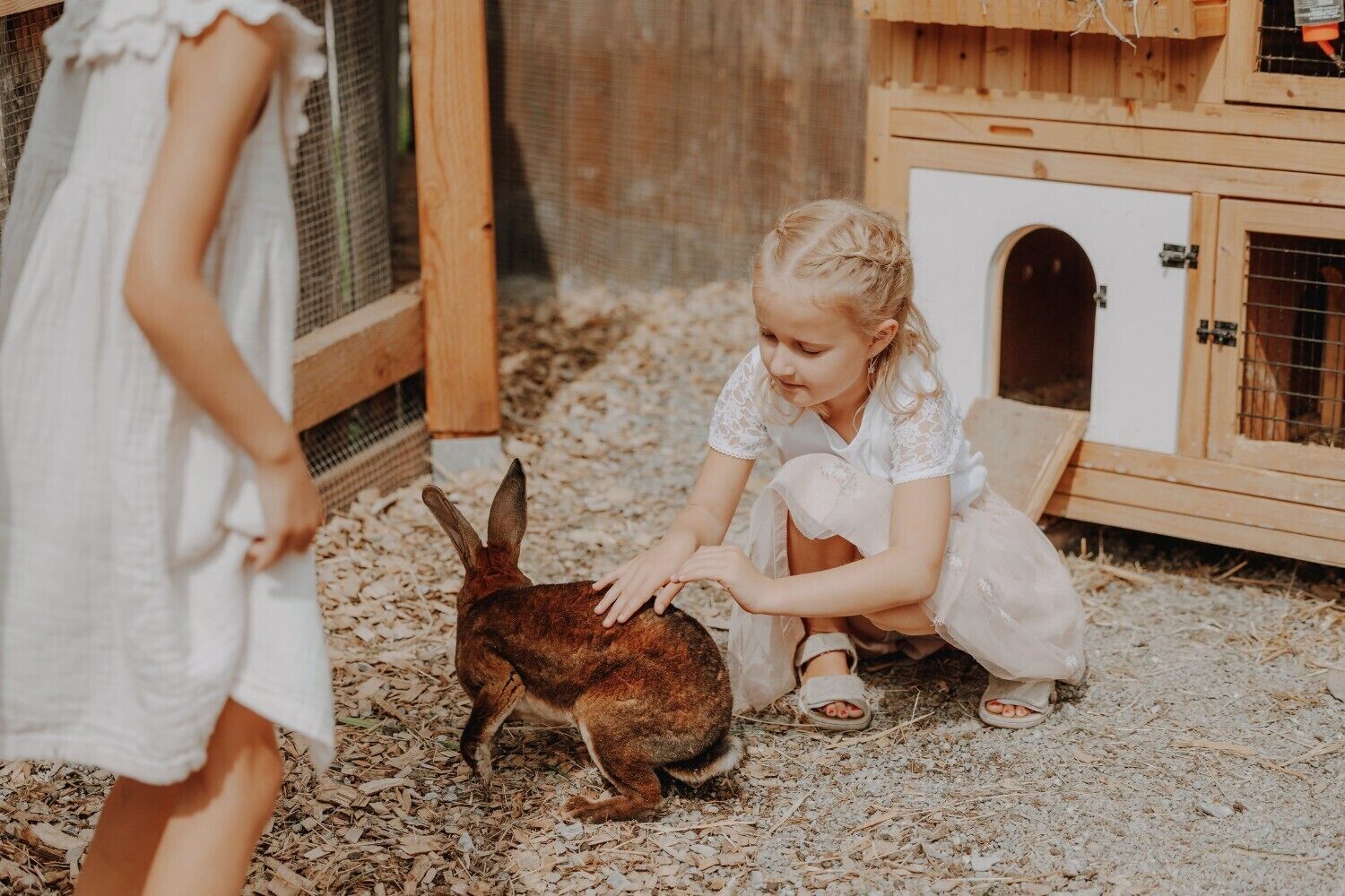 Un niño acariciando un conejo en un recinto de madera con una puerta pequeña.