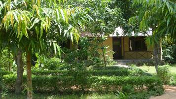 A yellow building with a door and windows, surrounded by lush greenery and a dirt path.