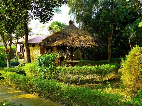 Property grounds. Nature Safari Resort