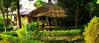 Nature Safari Resort