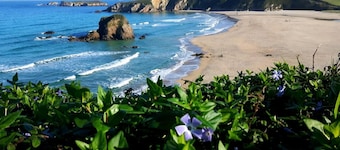 Hotel Rural Casa PeleyĂłn