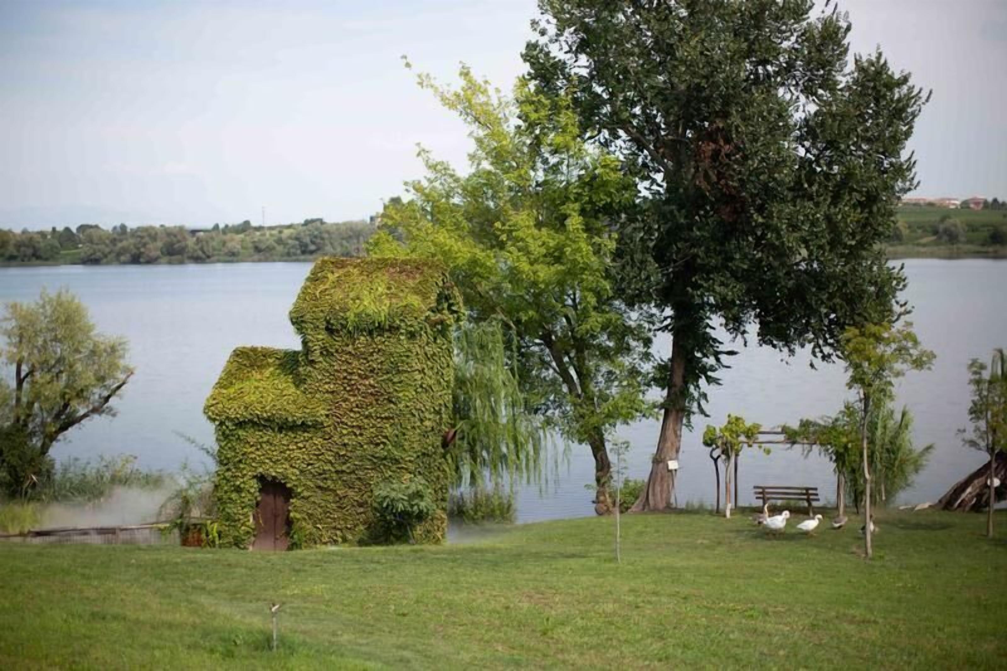 A building covered in ivy, a bench, and a tree by a lake.